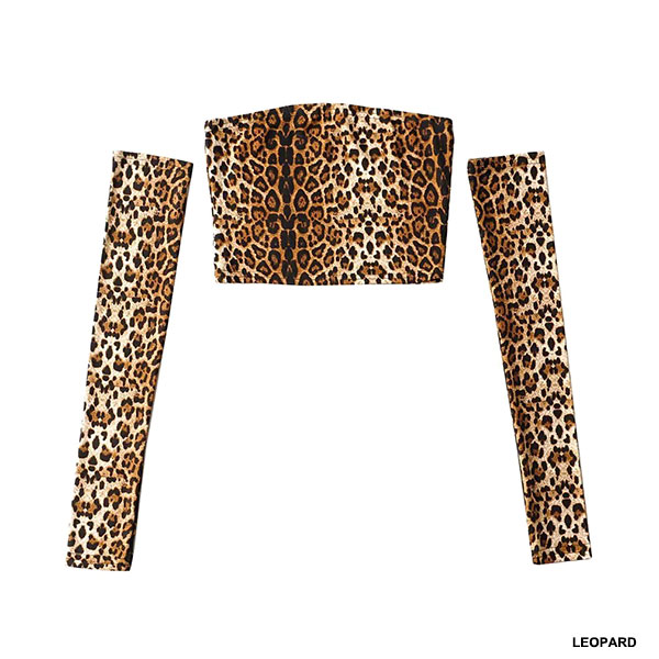 バリエーション画像