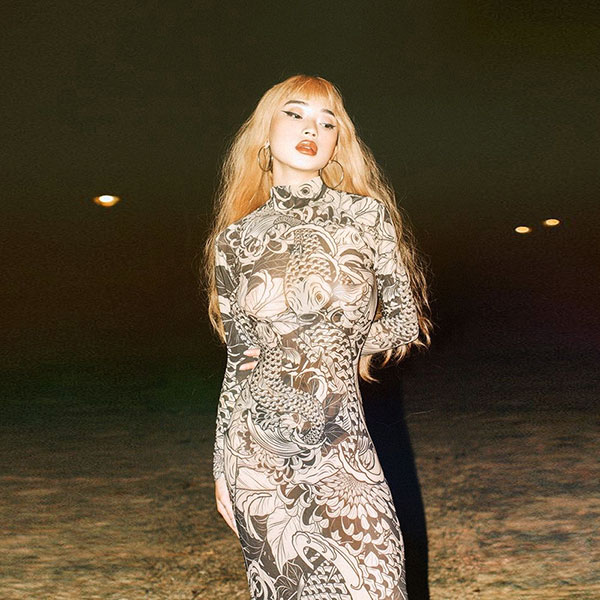 PATTERN SHEER ONEPIECE