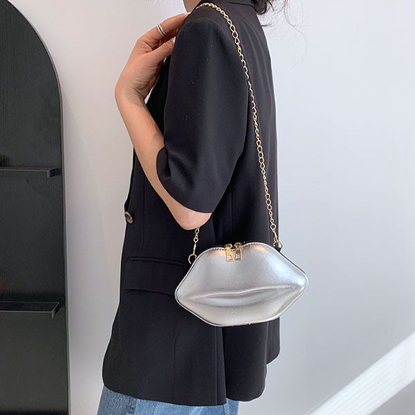 SHINNY LIP BAG