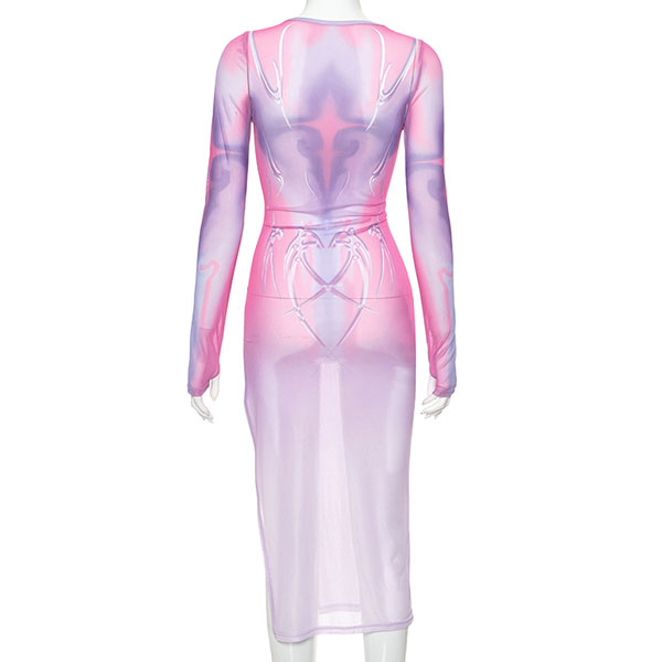 ALL OVER SHEER ONEPIECE