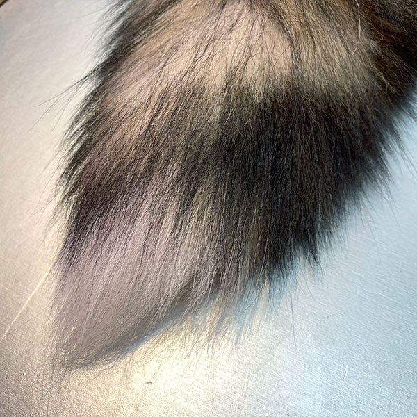 TAIL FOX FUR CHARM