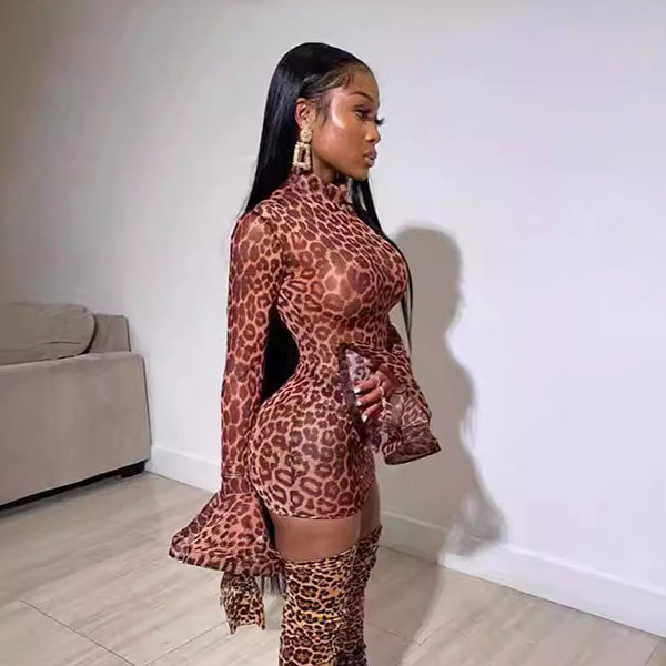 LEOPARD SHEER ONEPIECE