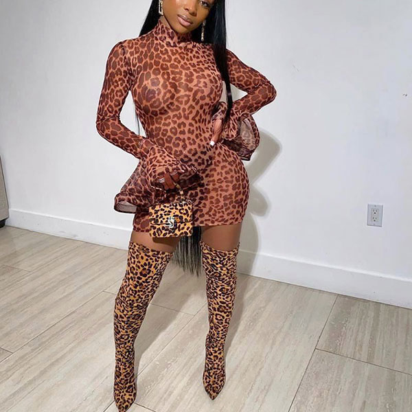 LEOPARD SHEER ONEPIECE