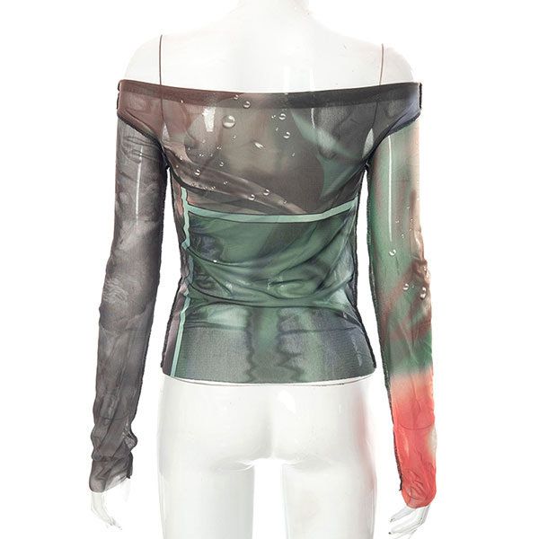 COSMOS SHEER TOPS