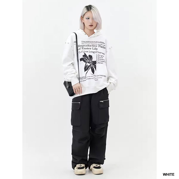 バリエーション画像