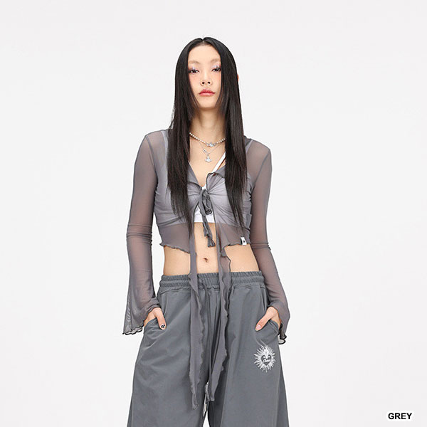 バリエーション画像