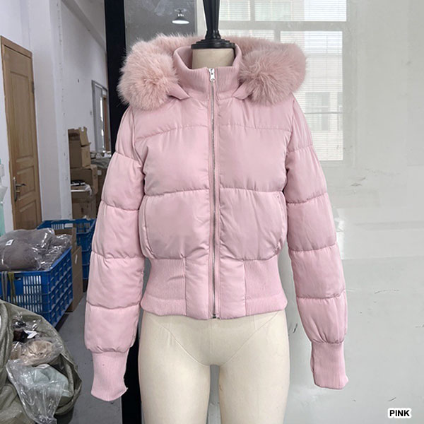 バリエーション画像