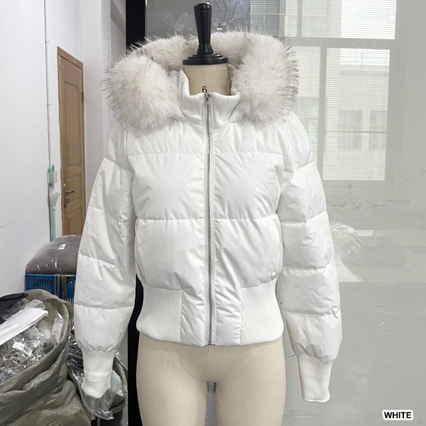 バリエーション画像