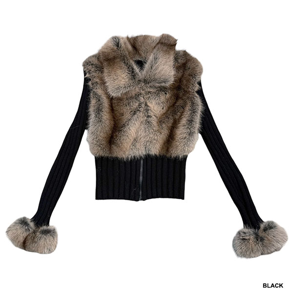 バリエーション画像