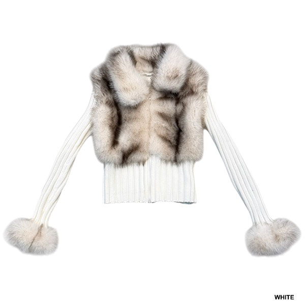 バリエーション画像