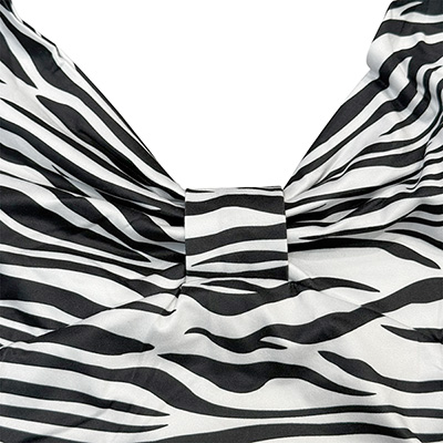 ZEBRA HALTERNECK